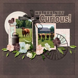 Curious