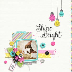shine bright