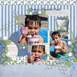 Sweet Berry Blue