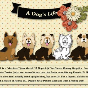 A Dog's Life