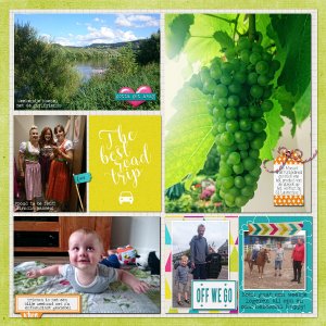 Wk 30B