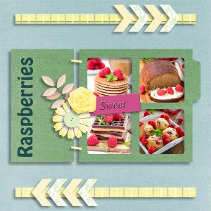Raspberries 2
