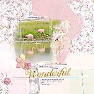 wonderful