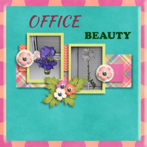 Office beauty