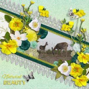 Natural Beauty