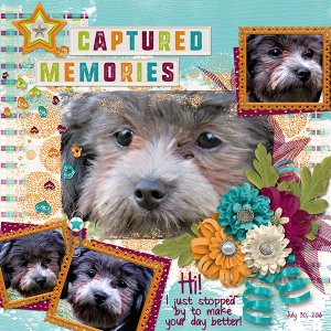 Captured Memories