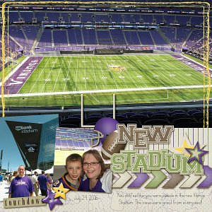 New Viking Stadium