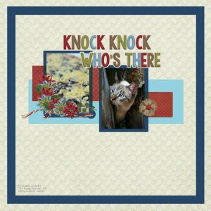 Knock