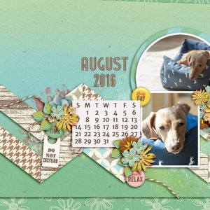 August 2016 Desktop Challenge