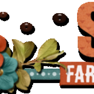 201608_Siggy