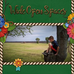 Wide Open Spaces