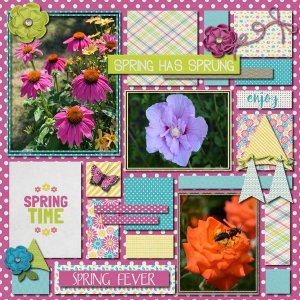 Spring