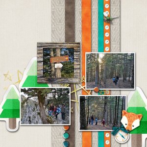 forest