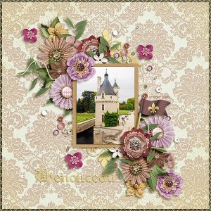 Chenonceau