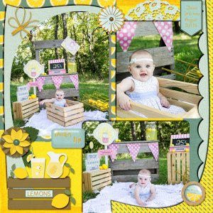 Lemonade Stand