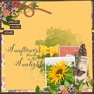 sunflowers