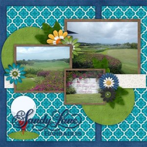 Travelogue - South Carolina