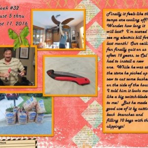 2016 Week 32 - Project 365 Challenge