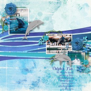 Dolphin Fun