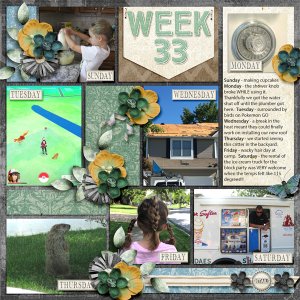 Week 33