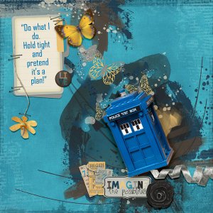 Tardis Possibilities