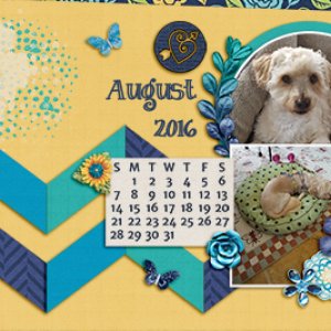 Duffy Travels