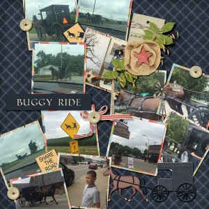 Buggy Ride