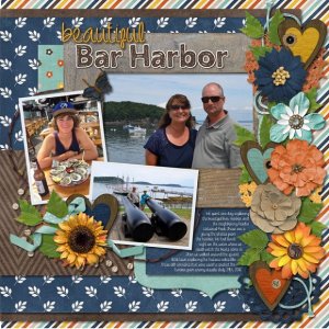 beautiful Bar Harbor
