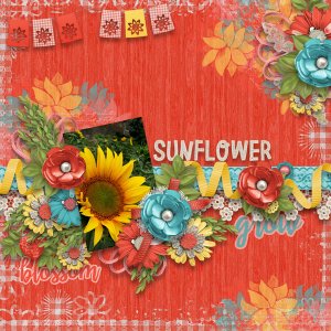 Sunflower