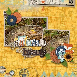 Autumn Beauty