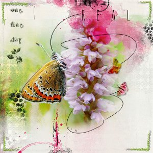 Butterfly