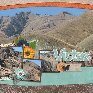Scenic Vistas