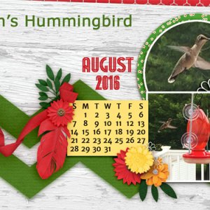 0716 Joan's hummingbird