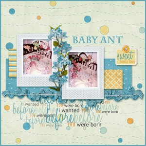 1182 Baby Ant4GSweb