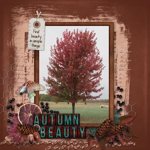 Autumn Beauty