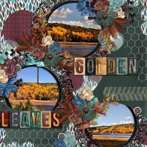Golden Leaves