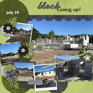 House Progress