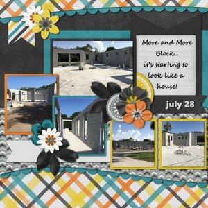House Progress