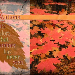 ATC 2016-49 Autumn
