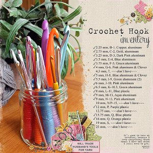 Crochet Hook Inventory