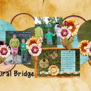 Natural Bridge 2013