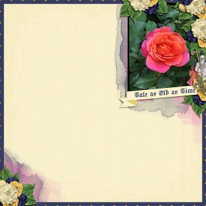 Disneyland Rose