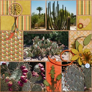 Camelback cactus_R