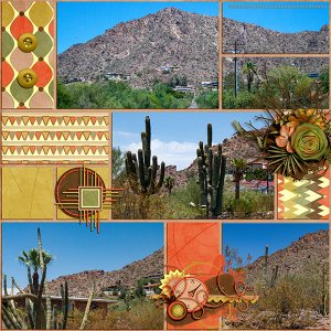 Camelback cactus_L