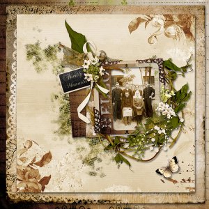 Family Memories
