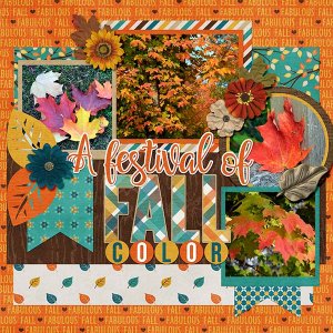 Fall Colors