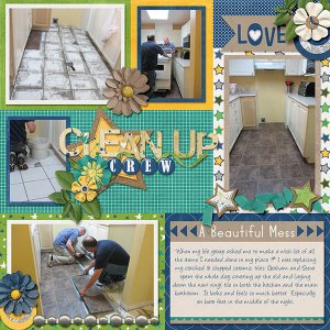Reno Floors 2014