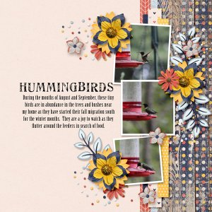 Hummingbirds