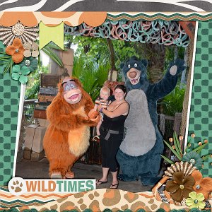 wild-times