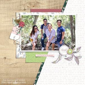 Into the wood